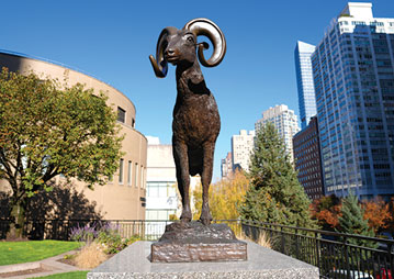 A ram statue. Links to Donor-Advised Funds A ram statue. Links to Donor-Advised Funds